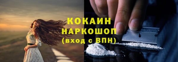 ГАЛЛЮЦИНОГЕННЫЕ ГРИБЫ Абаза