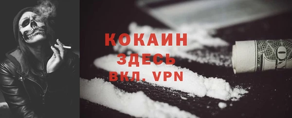 ГАЛЛЮЦИНОГЕННЫЕ ГРИБЫ Абаза