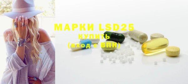 ГАЛЛЮЦИНОГЕННЫЕ ГРИБЫ Абаза