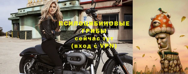 соль ск Абинск